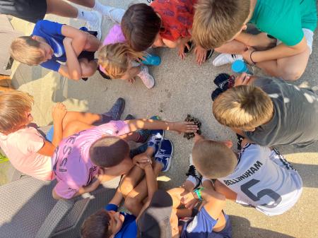 Kratkočasnice - Športne igre